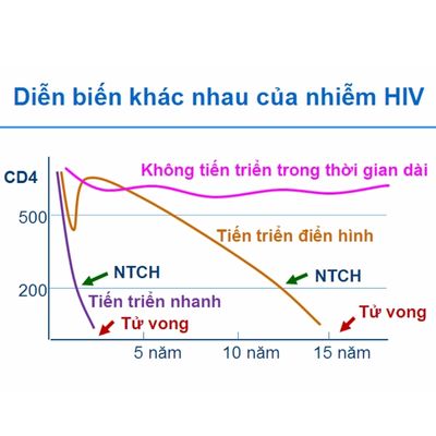 Diễn biến của HIV 