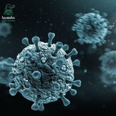 Virus HIV tấn công hệ miễn dịch của con người