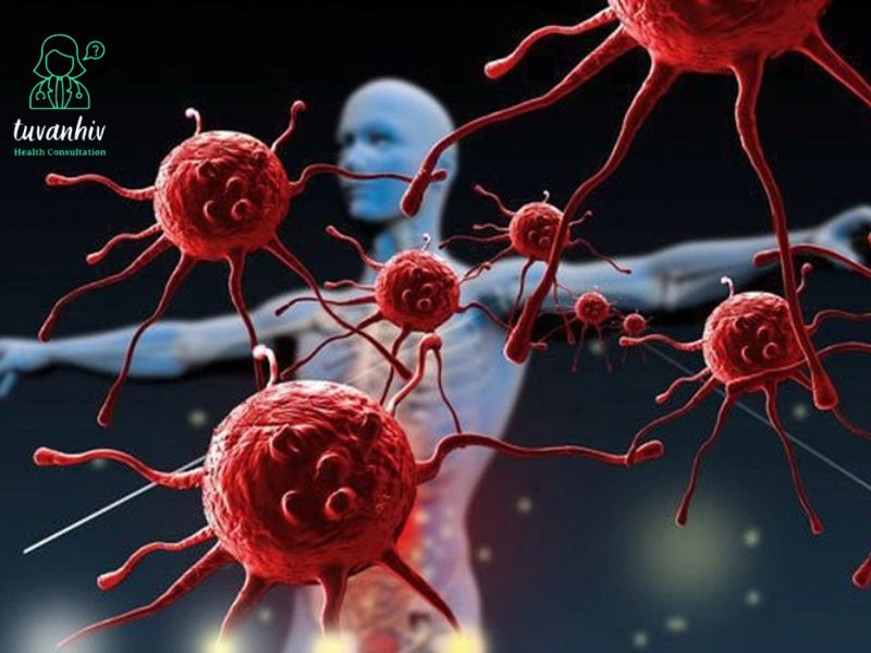 Vòng đời virus HIV và cơ chế của thuốc kháng