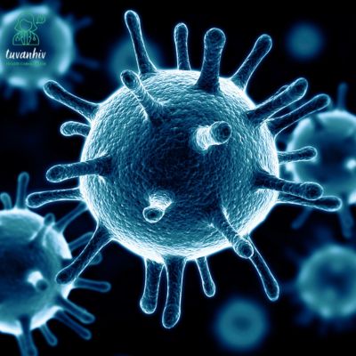 HIV là loại virus gây ra hội chứng suy giảm miễn dịch ở người