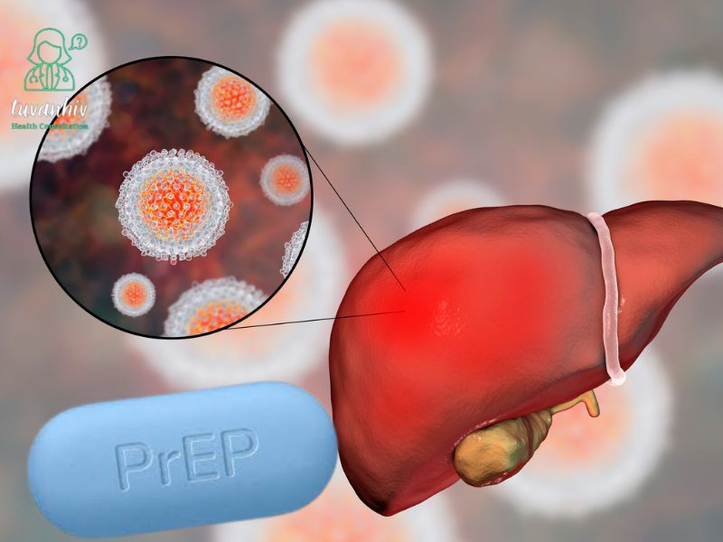 Viêm gan B và mối quan hệ với PrEP