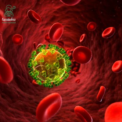 Các con đường lây truyền của HIV